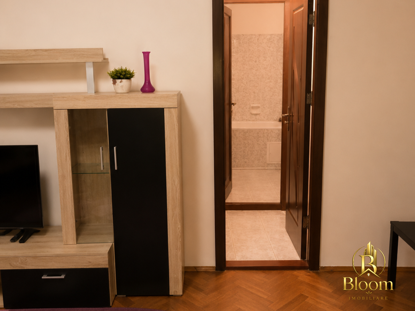 Hol de acces spre baie, apartament Tiglina 2