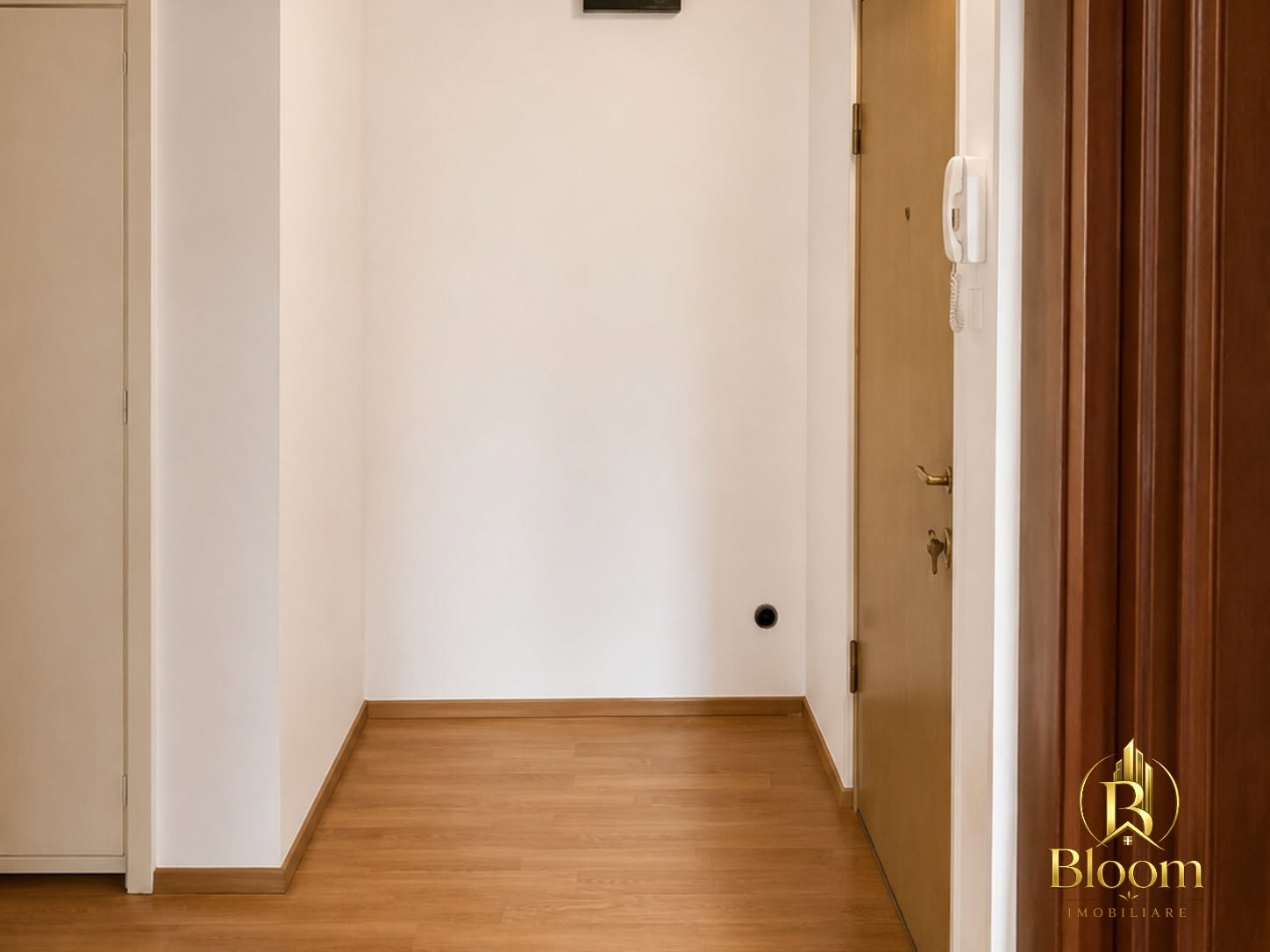 Intrare principală în apartament